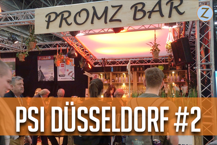 PromZvlog #13 PSI 2018: PromZ Paviljoen