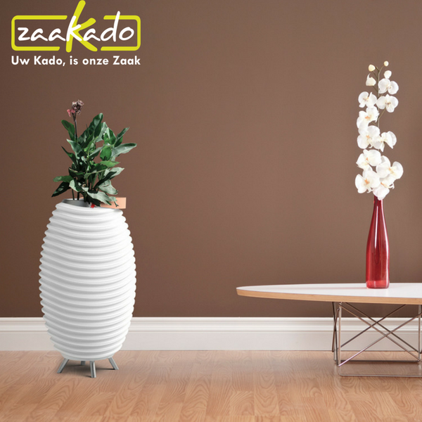 Kooduu - bluetooth speaker, lamp en wijnkoeler in één met plant Kooduu - bluetooth speaker, lamp en wijnkoeler in één met plant