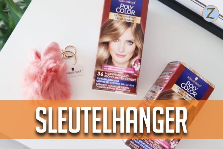 PromZvlog 34 - sleutelhanger thumb