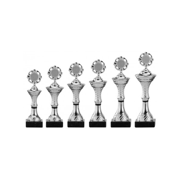 Sportprijs met graveerplaat en gravure