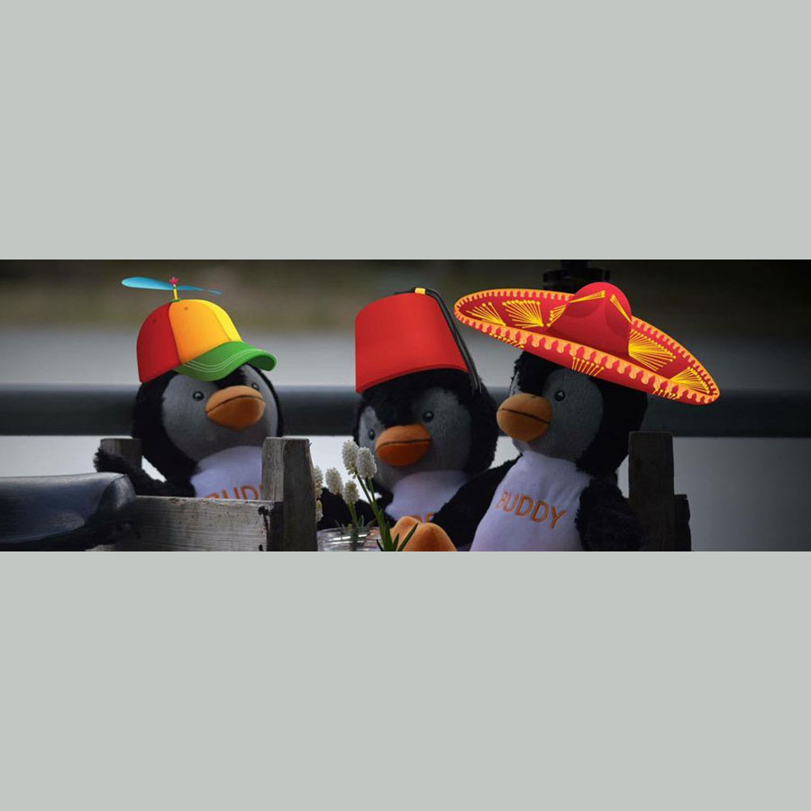 Custom knuffels in eigen vorm