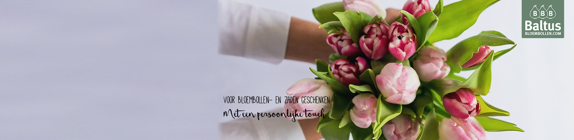 Baltus Bloembollen hoofdafbeelding