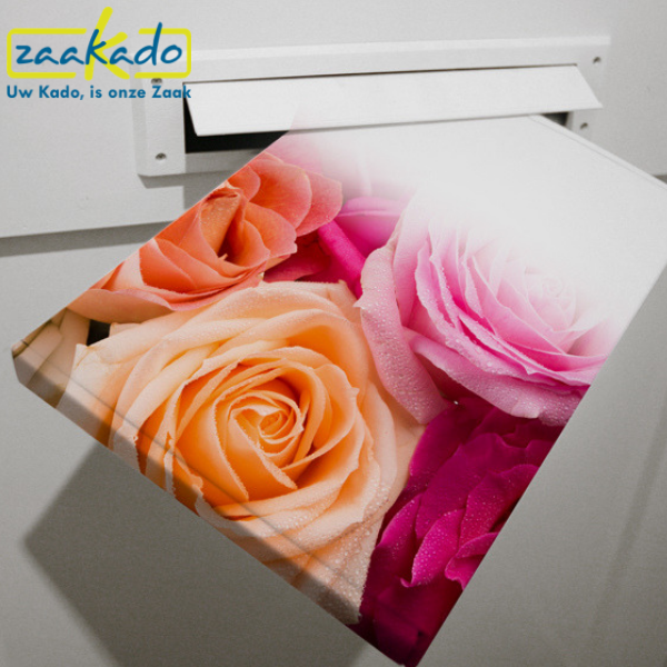 origineel-bloemen-door-brievenbus-per-post-verzenden-rozen-dag-van-de-verpleging-groeien-bloeien-relatiegeschenk-dag-van-de-zorg-zorginstellingen-attentie-logo-personaliseren origineel-bloemen-door-brievenbus-per-post-verzenden-rozen-dag-van-de-verpleging-groeien-bloeien-relatiegeschenk-dag-van-de-zorg-zorginstellingen-attentie-logo-personaliseren