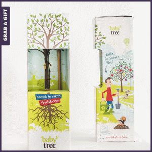 Grab-a-Gift-Baby-tree-fruitboom-als-relatiegeschenk