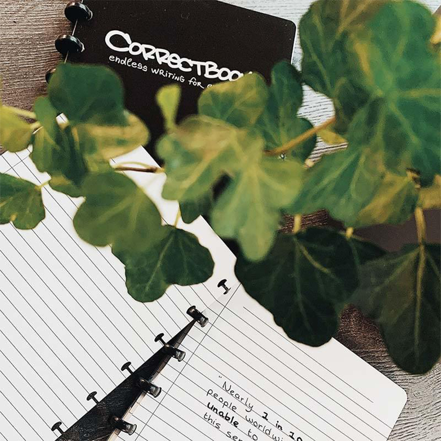 Correctbook (2) Correctbook