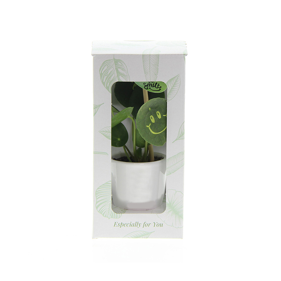 Smylieplant®