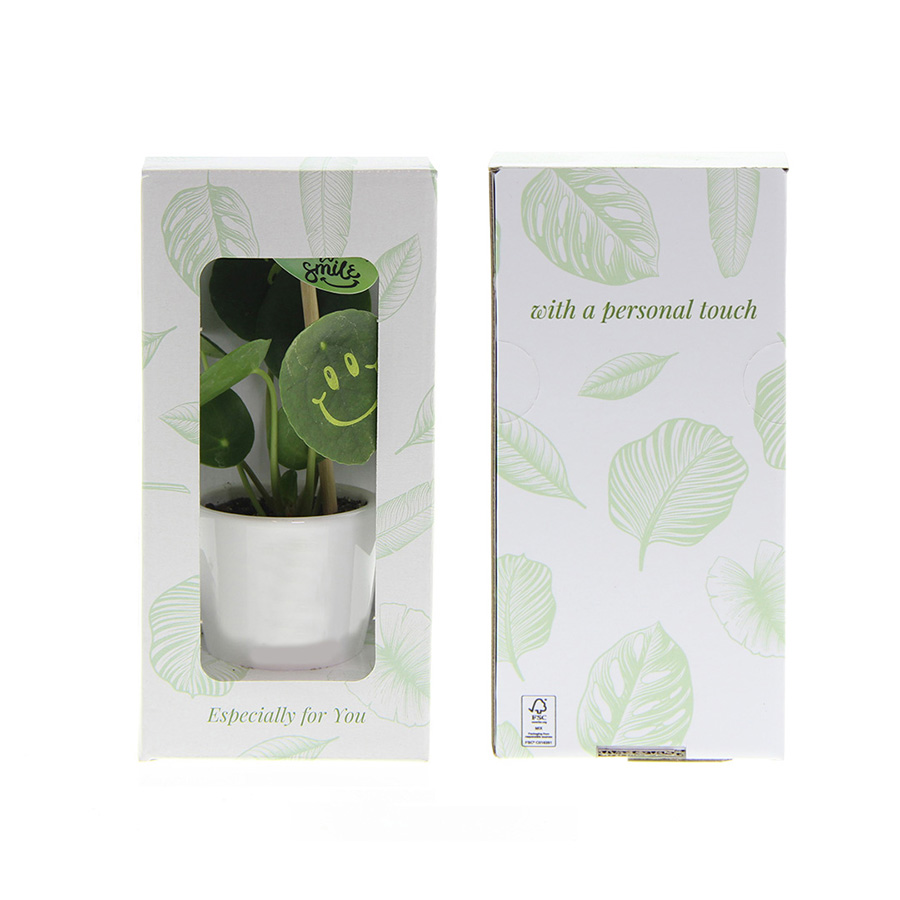 Smylieplant_small_in_Giftbox___Backside